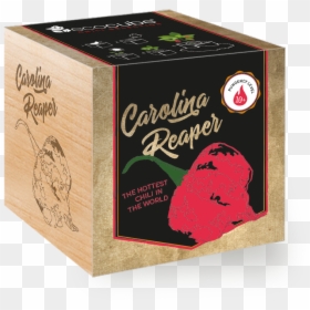 Carolina Reaper Ecocube, HD Png Download - carolina reaper png