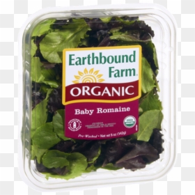 Earthbound Farm Organic Baby Spinach, HD Png Download - romaine lettuce png