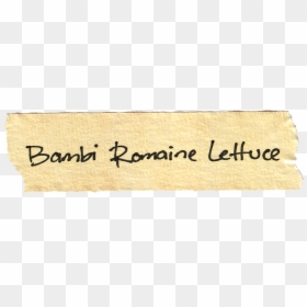 Calligraphy, HD Png Download - romaine lettuce png