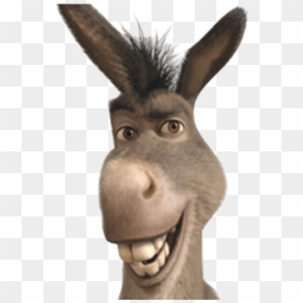 Shrek Head Png - Donkey From Shrek Smiling, Transparent Png - donkey head png