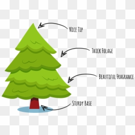 Christmas Tree, HD Png Download - christmas tree branches png