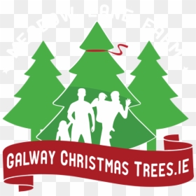 Galway Christmas Trees - Christmas Tree Logo, HD Png Download - christmas tree branches png