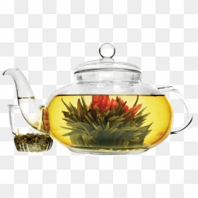 Daisy 40 Oz Glass Teapot No Background - Primula Tea, HD Png Download - 40 oz png