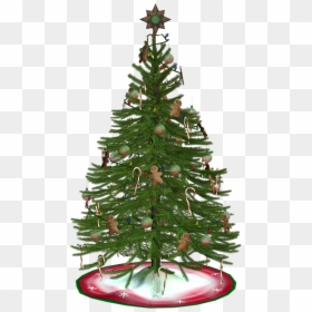 Transparent Pinecone And Branch Clipart - Christmas Tree, HD Png Download - christmas tree branches png