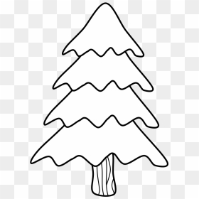 Tree, Evergreen, Black And White - Christmas Tree, HD Png Download - christmas tree branches png