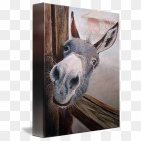 Funny Good Night Donkey, HD Png Download - donkey head png