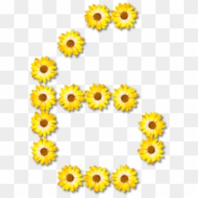 Sunflower Seed,chrysanths,plant - Floral G Clip Art, HD Png Download - sunflower seed png