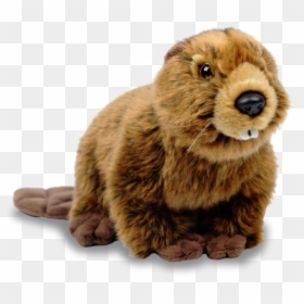 Plush - Stuffed Beaver Png, Transparent Png - bowser jr plush png