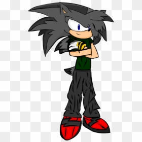 Transparent Sonic The Hedgehog Png - Blake The Hedgehog, Png Download - sonic heroes logo png