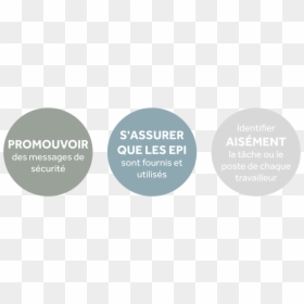 Circle, HD Png Download - tache png