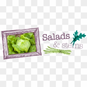 Salads-stems - Chard, HD Png Download - romaine lettuce png