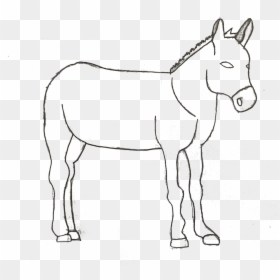 Mane, HD Png Download - donkey head png