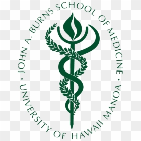 John A Burns School Of Medicine Logo, HD Png Download - uh logo png