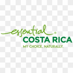 Essential Costa Rica Logo, HD Png Download - costa logo png