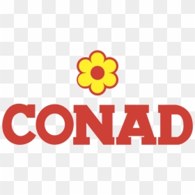 Campfire Png Transparent -conad Logo Png Transparent - Conad, Png Download - campfire png transparent