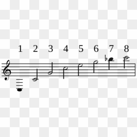 Webern Op 27 Serie, HD Png Download - tuba banda png