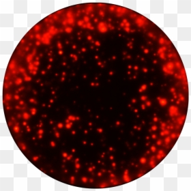Circle, HD Png Download - cow spots png