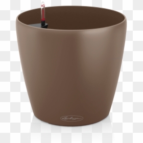 Lechuza Classico Color, HD Png Download - nutmeg png