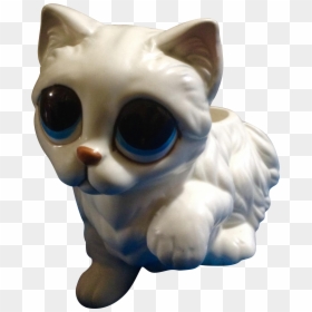 Cat, HD Png Download - sad cat png