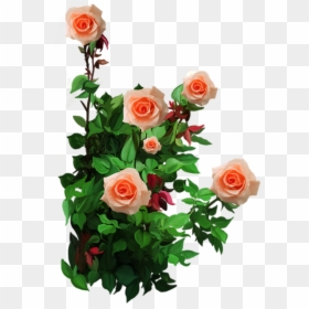 Yellow Rose Frame, HD Png Download - green flower crown png