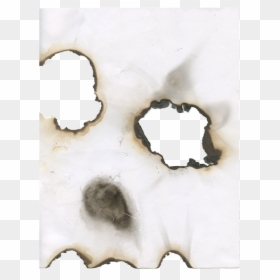 Burn3 - Visual Arts, HD Png Download - roast hand png