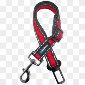 Climbing Harness, HD Png Download - blue frog png
