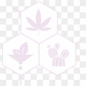 Cbd, Prickly Pear Seed Oil, And Portulaca Extract Logo - Emblem, HD Png Download - glowing cross png