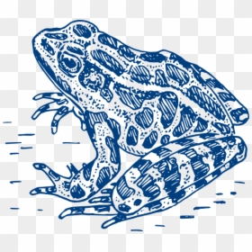 Frog Logo Svg Clip Arts - Frog Black And White, HD Png Download - blue frog png