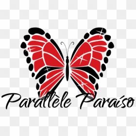 Parallele Paraiso Cosshop - Thomson Reuters Logo Png, Transparent Png - stocking anarchy png