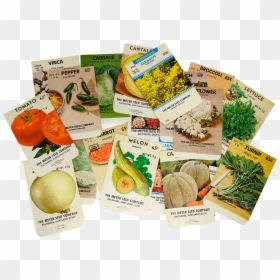 Natural Foods, HD Png Download - empty cornucopia png