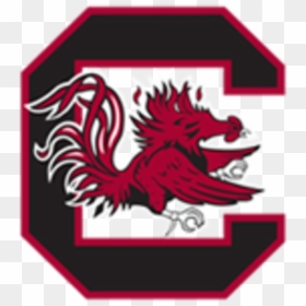 Image Placeholder Title - South Carolina Gamecocks, HD Png Download - tom felton png