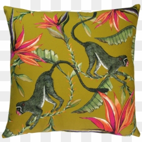 Ardmore Cushions, HD Png Download - spider monkey png