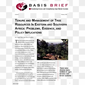 Tree, HD Png Download - africa tree png