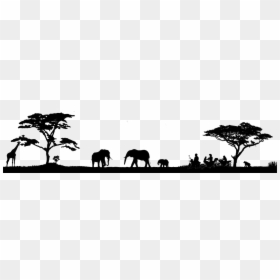 Motorcycle And Overland Renbtals Nd Tours In Southern - Indian Elephant, HD Png Download - africa tree png