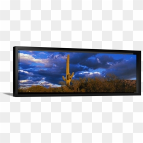Led-backlit Lcd Display, HD Png Download - saguaro cactus png