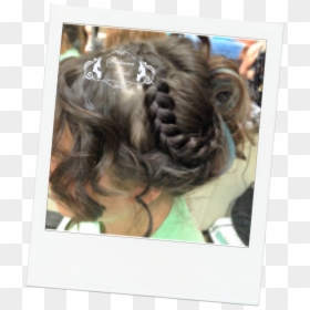 Girl, HD Png Download - hair bun png