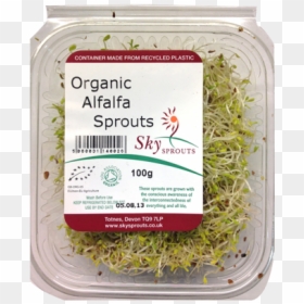 Mung Bean, HD Png Download - alfalfa png