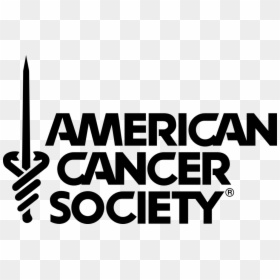 Amcancer - Vector American Cancer Society Logo, HD Png Download - pee wee herman png