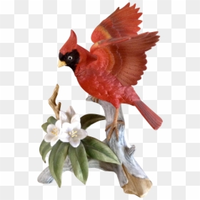 Transparent Cardinal Bird Png - Vintage Bird With Red Flowers, Png Download - cardinal bird png