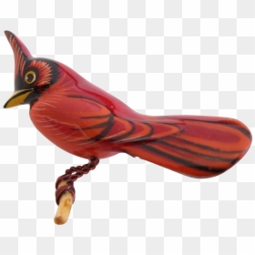 Northern Cardinal, HD Png Download - cardinal bird png