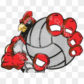 Cool Volleyball Coloring Pages, HD Png Download - cardinal bird png
