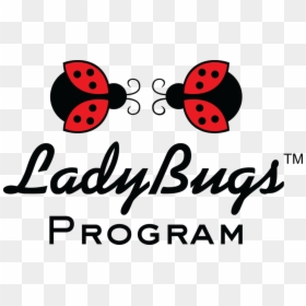 Ladybug, HD Png Download - ladybugs png