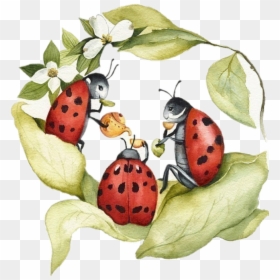 #ladybugs - Ladybug Art, HD Png Download - ladybugs png