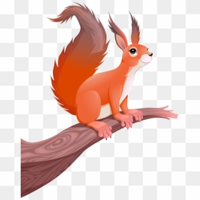 Squirrel Cartoon Photography Illustration - Transparent Squirrel Cartoon, HD Png Download - cartoon squirrel png