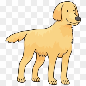 Easy Labels Clip Art Dog Details Golden Retriever Drawing - Simple Golden Retriever Drawing, HD Png Download - dog drawing png