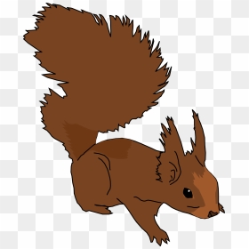 Ginger Coons Learns To Blog - Squirrel Clip Art, HD Png Download - cartoon squirrel png
