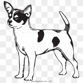 Dog Chihuahua Coloring Pages Bing Images Patterns Transparent - Dog Pic Black And White, HD Png Download - dog drawing png