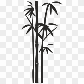 Bamboo Png Black And White, Transparent Png - bamboo plant png