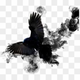 #crow #sticker #smoke #bird #black #wings #feathed, HD Png Download - crow wings png