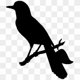 Scalable Vector Graphics, HD Png Download - crow wings png
